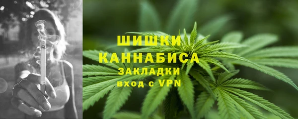 винт Бронницы