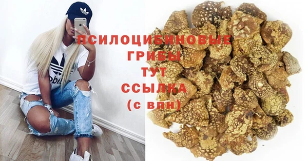 винт Бронницы