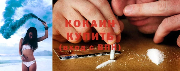 ешки Бородино