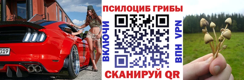 Псилоцибиновые грибы Psilocybine cubensis  Озёрск 